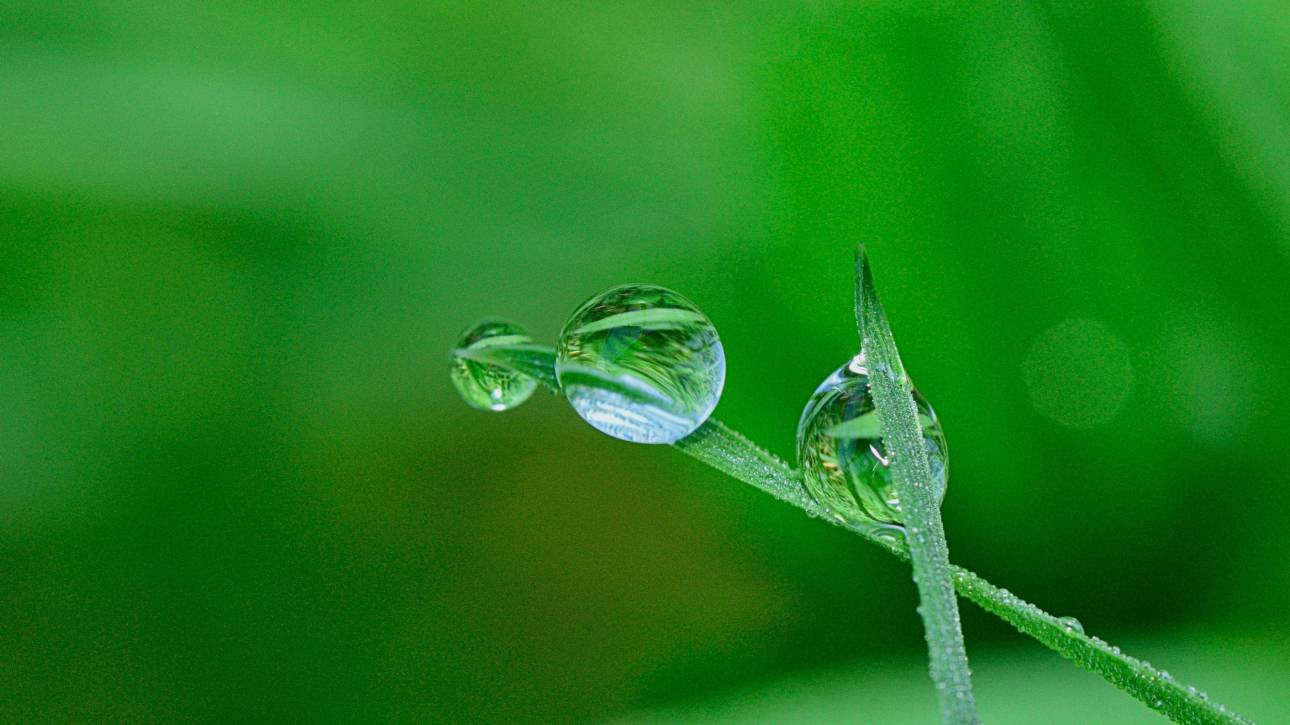 Sistemas de Gestión Medioambiental